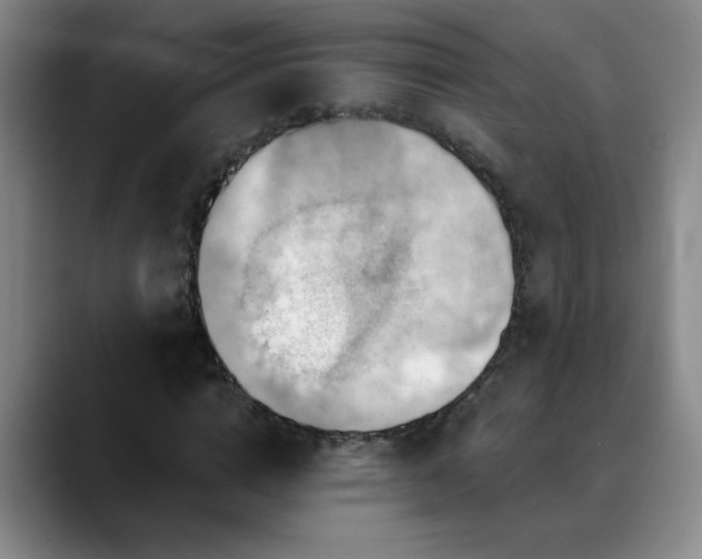 X0000088860824200706151734