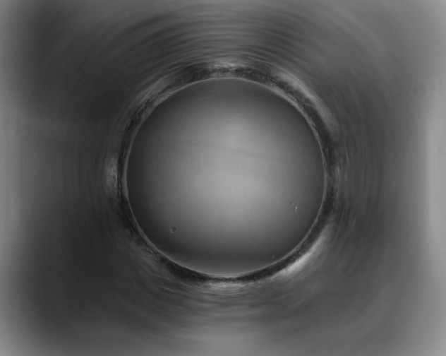 X0000088860825200706151734