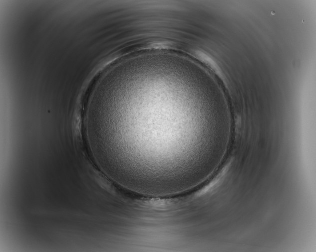 X0000088860827200706151734