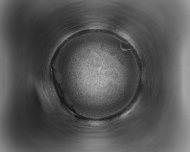 X0000088860829200706151734