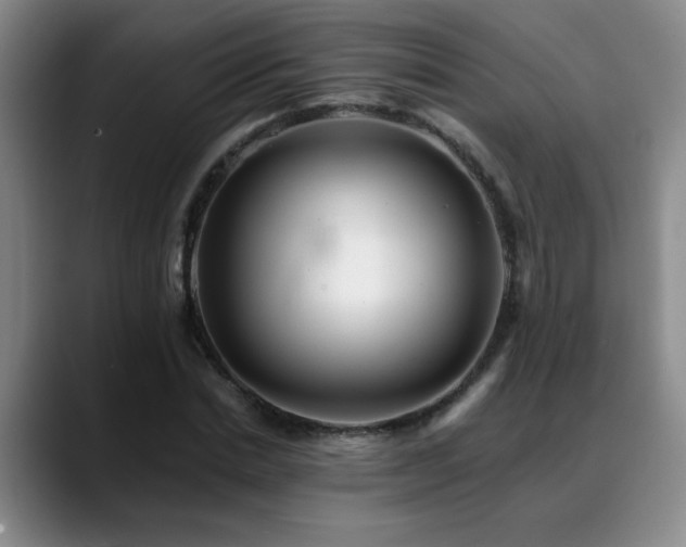 X0000088860830200706151734