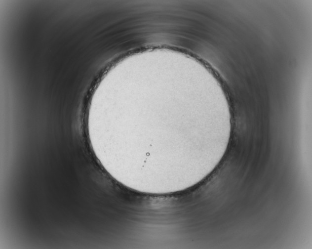 X0000088860832200706151734