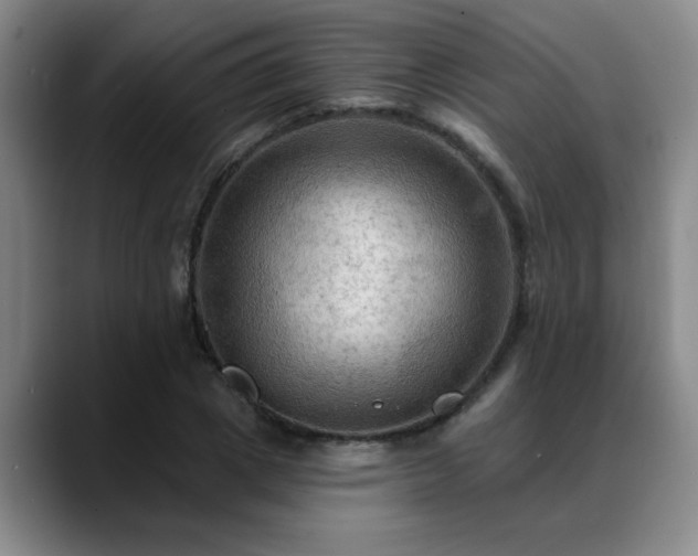 X0000088860833200706151734