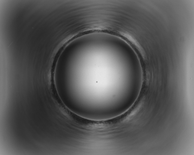 X0000088860834200706151734