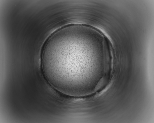 X0000088860837200706151734