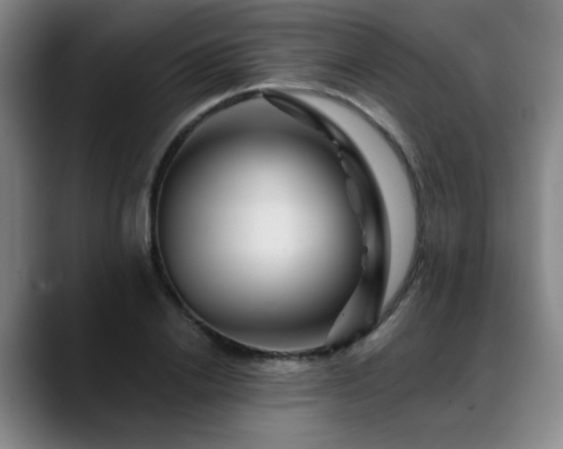 X0000088860838200706151734