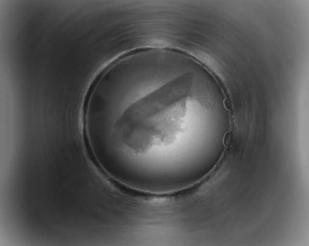 X0000088860839200706151734