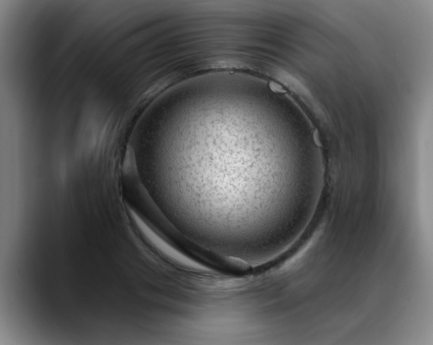 X0000088860841200706151734