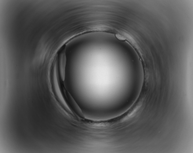 X0000088860843200706151734