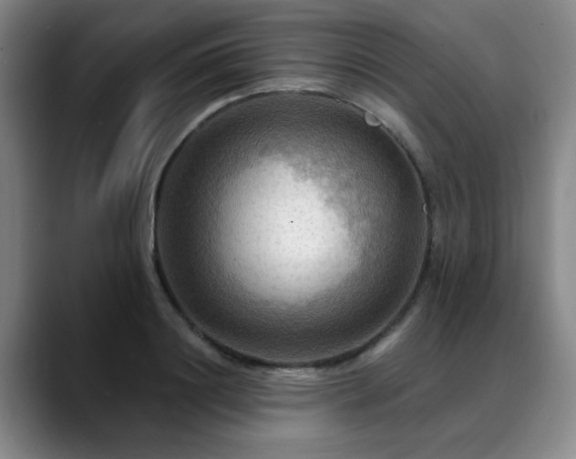 X0000088860844200706151734