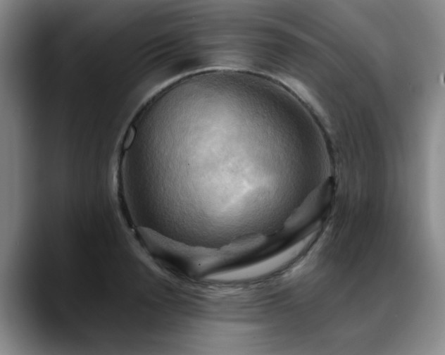 X0000088860846200706151734