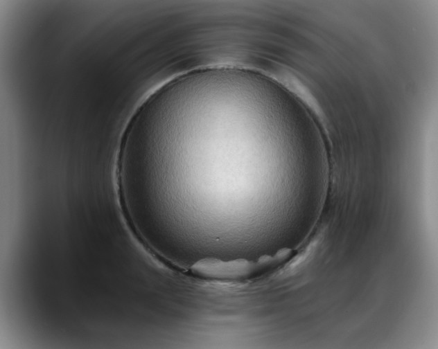 X0000088860847200706151734