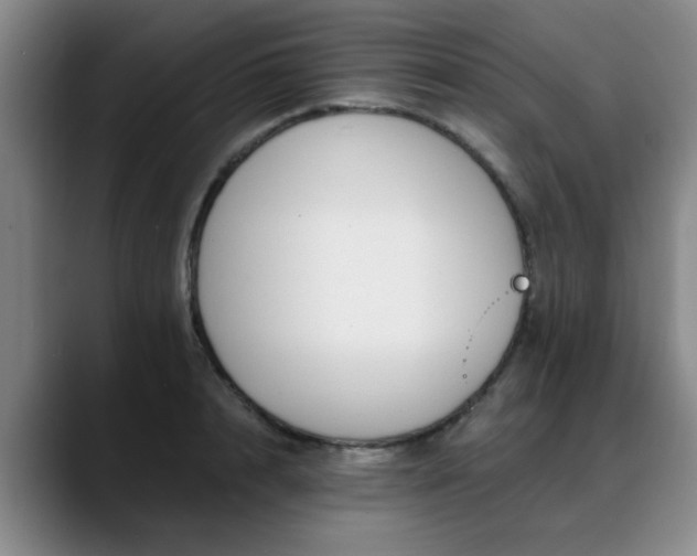 X0000088860848200706151734