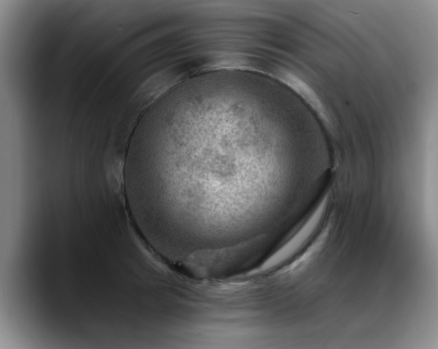 X0000088860849200706151734