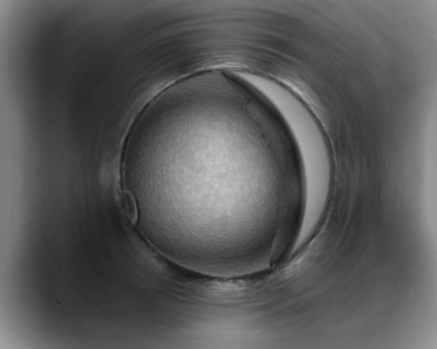 X0000088860850200706151734