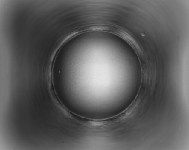 X0000088860852200706151734