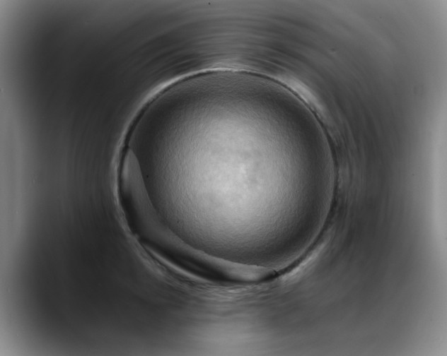 X0000088860854200706151734