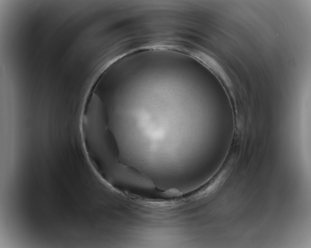 X0000088860855200706151734