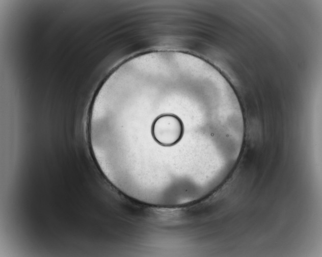 X0000088860856200706151734
