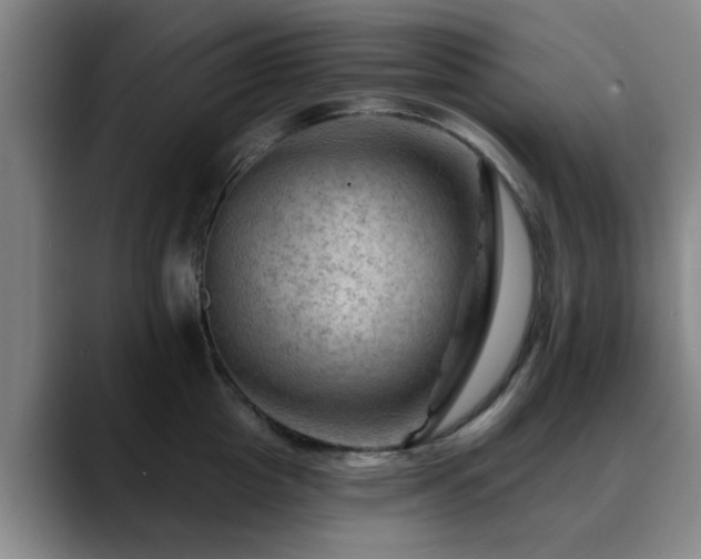 X0000088860857200706151734