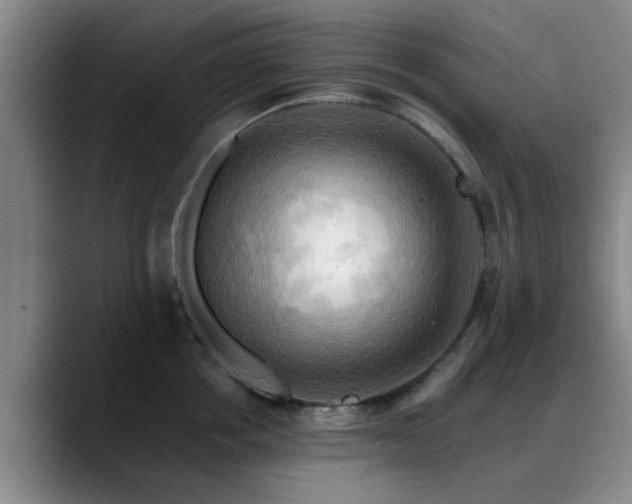 X0000088860858200706151734