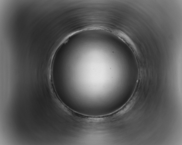 X0000088860860200706151734