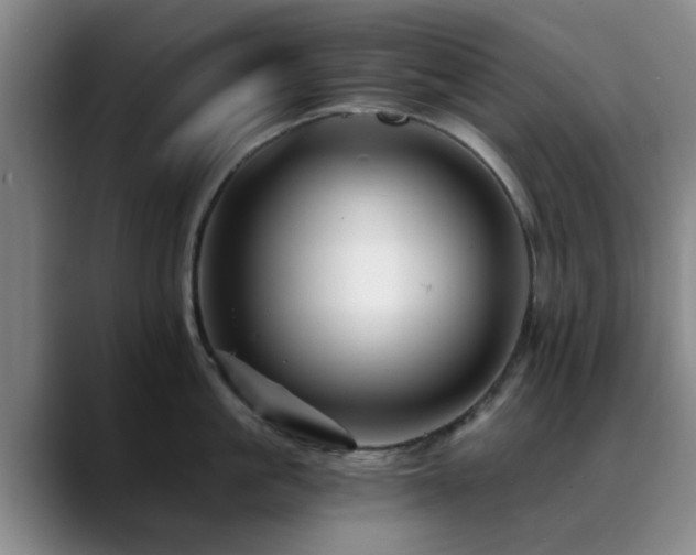 X0000088860861200706151734