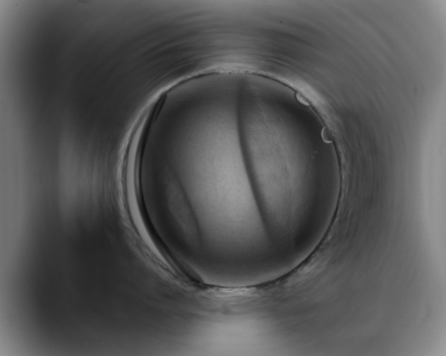 X0000088860864200706151734