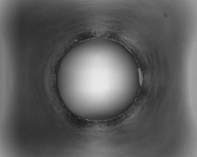 X0000088860865200706151734