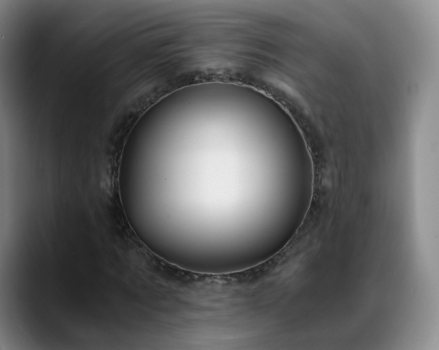 X0000088860869200706151734