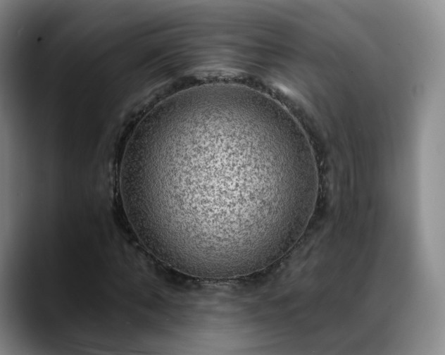 X0000088860870200706151734