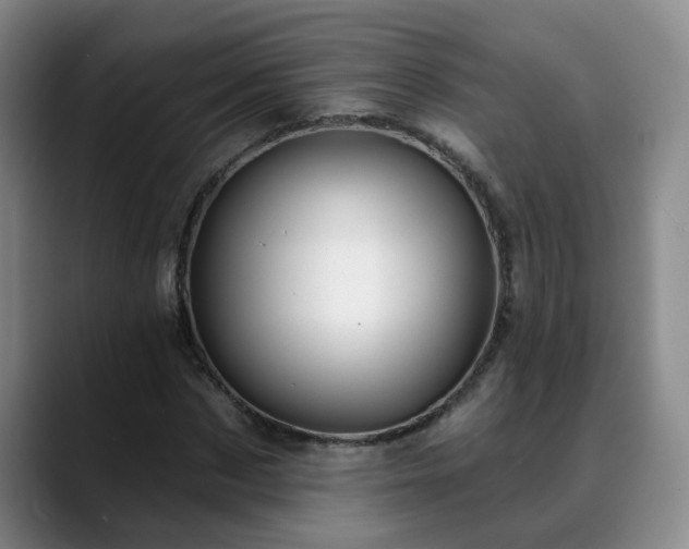 X0000088860873200706151734