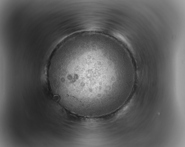 X0000088860875200706151734