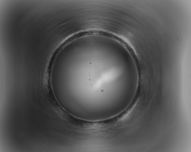 X0000088860879200706151734