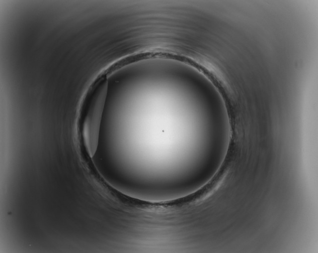 X0000088860880200706151734