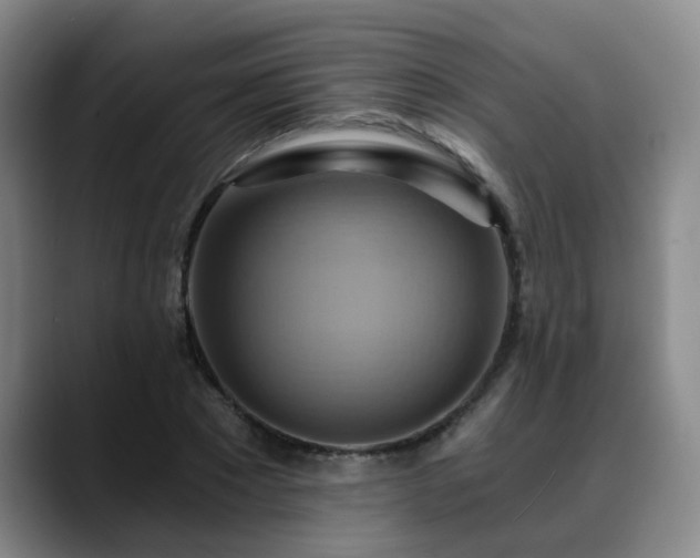 X0000088860881200706151734