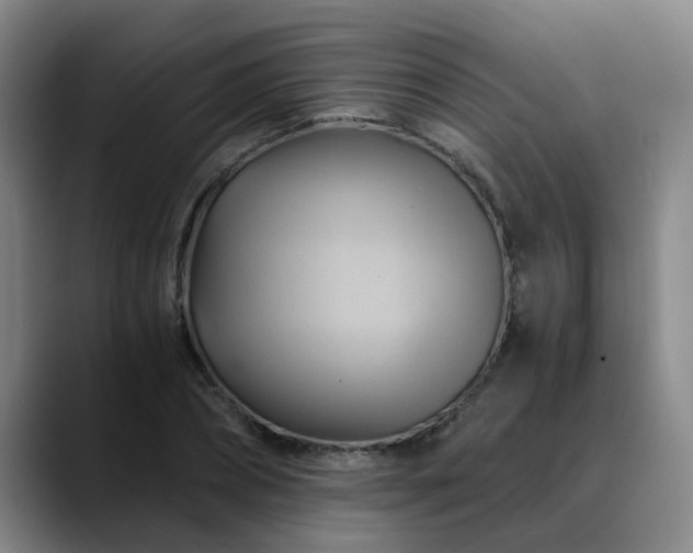 X0000088860882200706151734