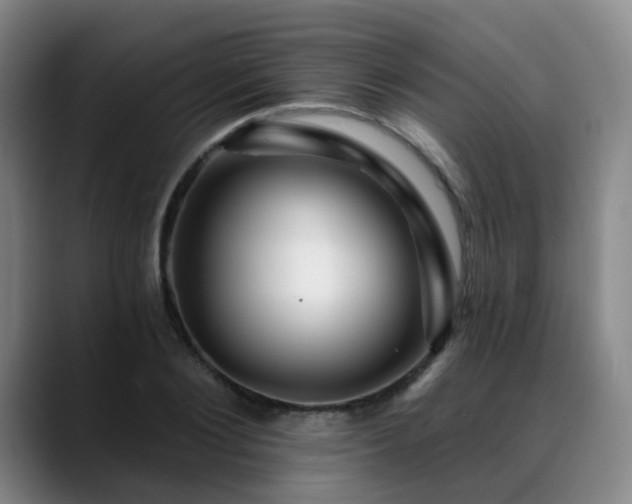 X0000088860884200706151734