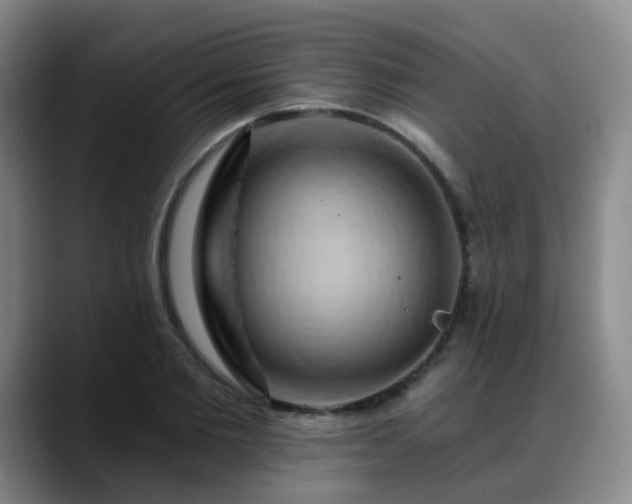 X0000088860885200706151734