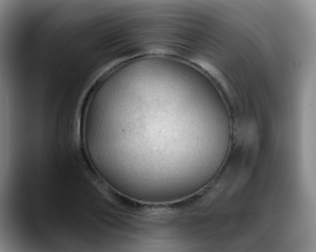 X0000088860886200706151734