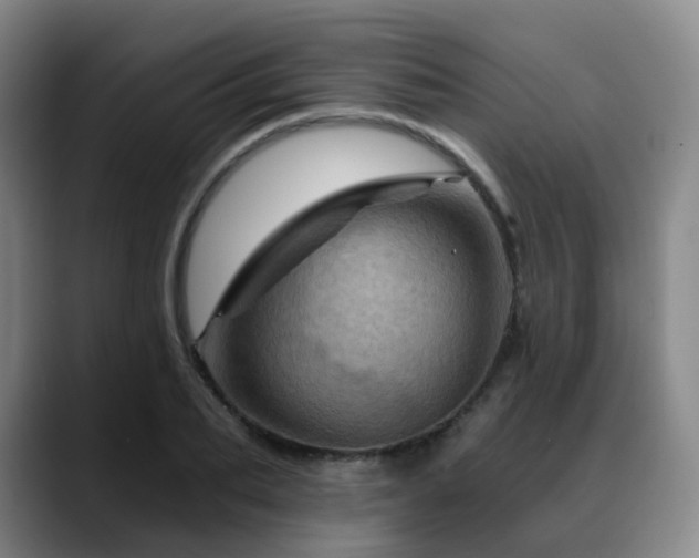 X0000088860887200706151734