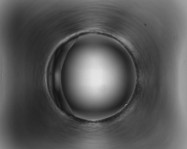 X0000088860888200706151734