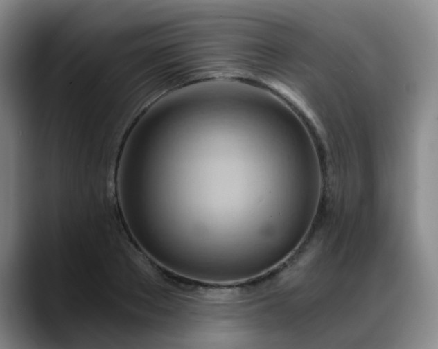 X0000088860889200706151734