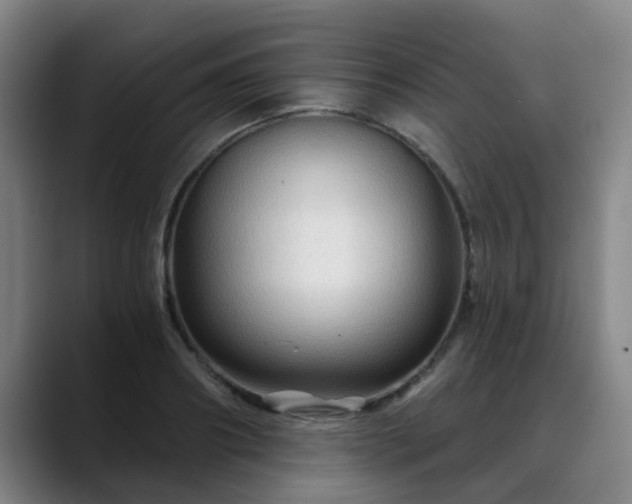 X0000088860890200706151733