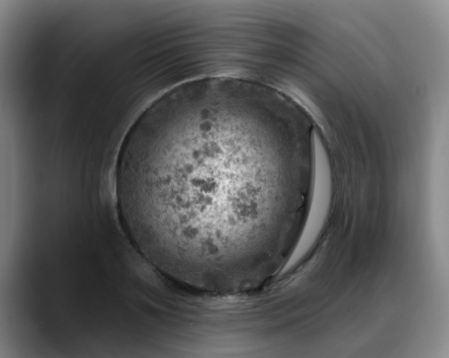 X0000088860891200706151733