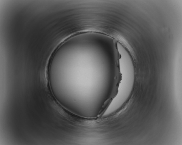 X0000088860892200706151733