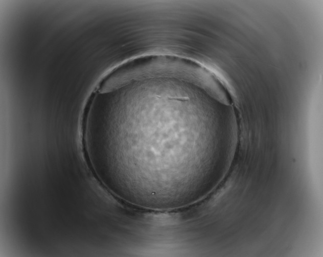X0000088860896200706151733