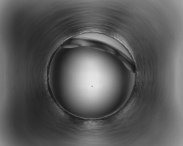 X0000088860898200706151733