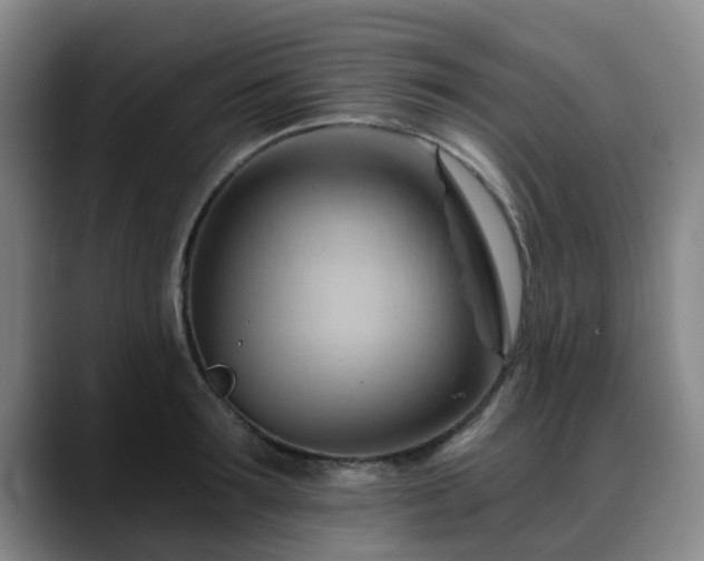 X0000088860899200706151733