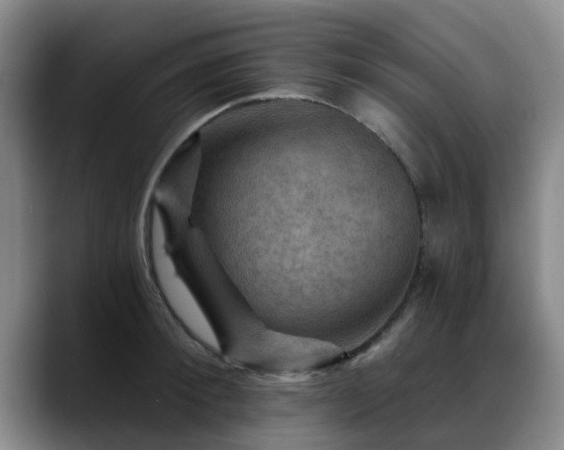 X0000088860900200706151733